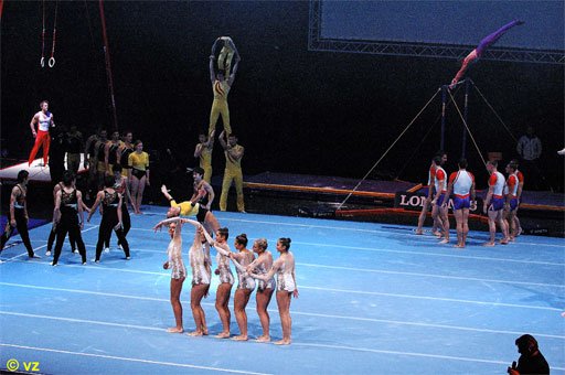 FIG Gala 2006